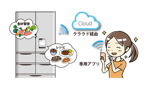 C62-026 すぐ活用できる 省エネルギー 実用パソコン・プログラム